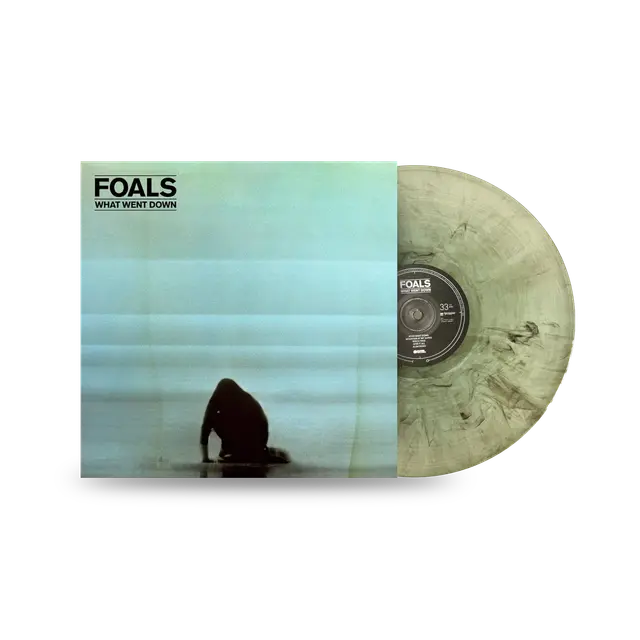 What Went Down (10th Anniversary Vinyl)