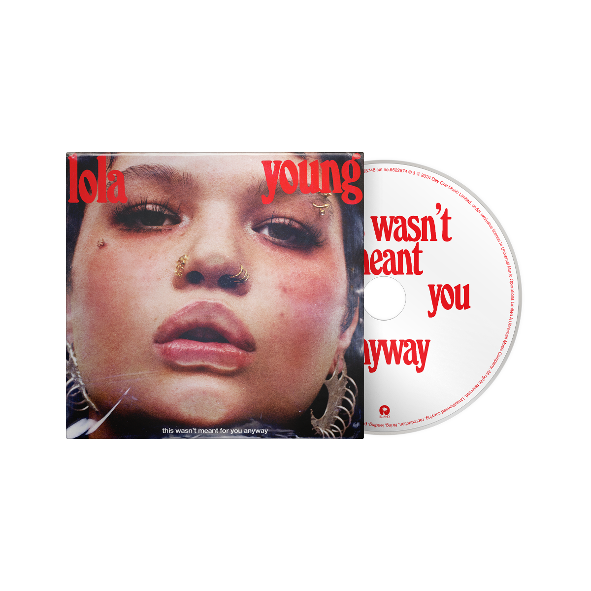 This Wasn't Meant For You Anyway