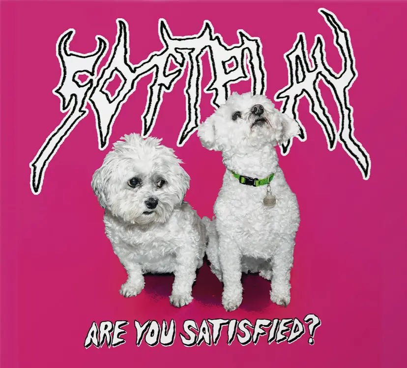 Are You Satisfied?
