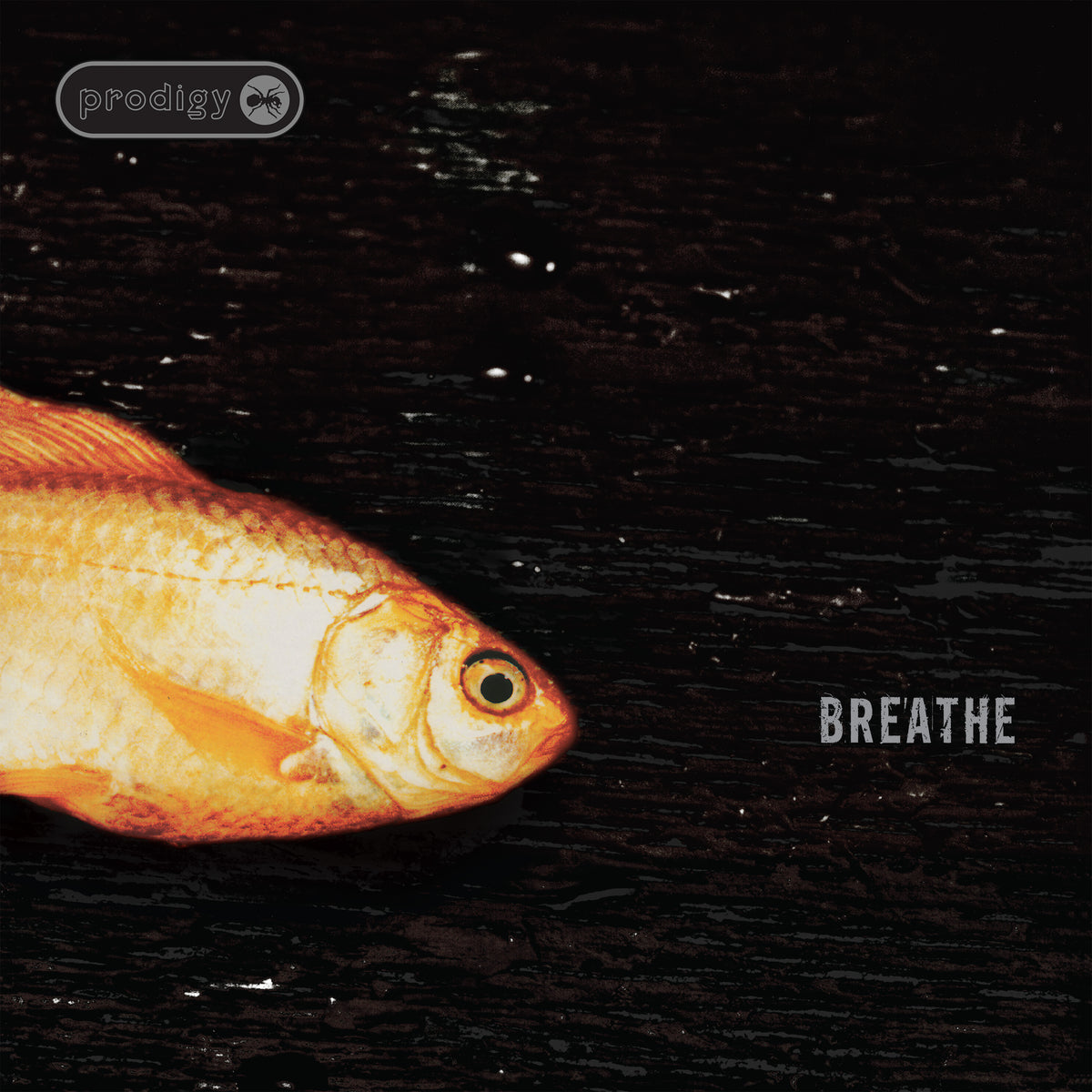 Breathe (30th Anniversary)