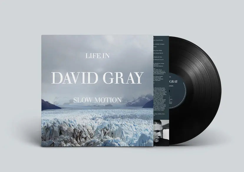 Life in Slow Motion (20th Anniversary Edition)