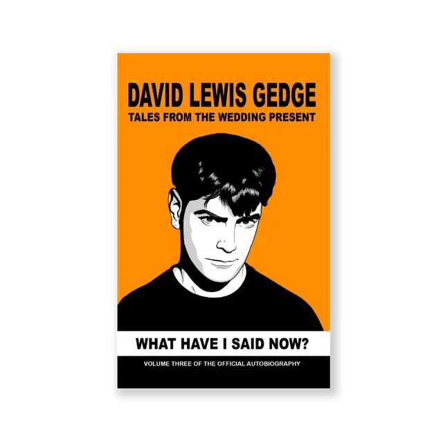 What Have I Said Now? Tales From The Wedding Present Volume 3
