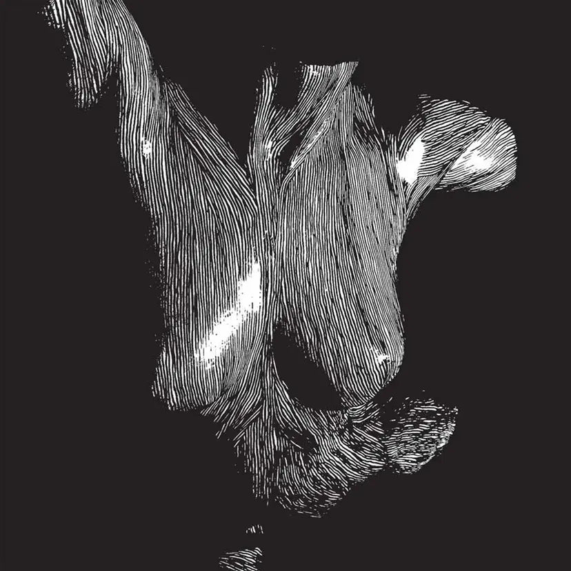 Self Preserved While The Bodies Float Up (15th Anniversary Edition)