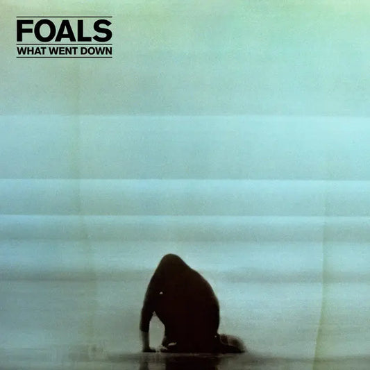 What Went Down (10th Anniversary Vinyl)