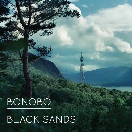 Black Sands: World Environment Day Edition