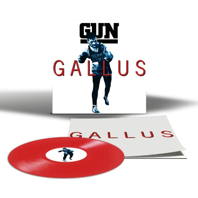 Gallus