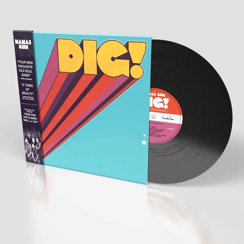 DIG!
