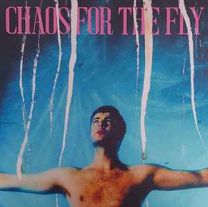 Chaos For The Fly