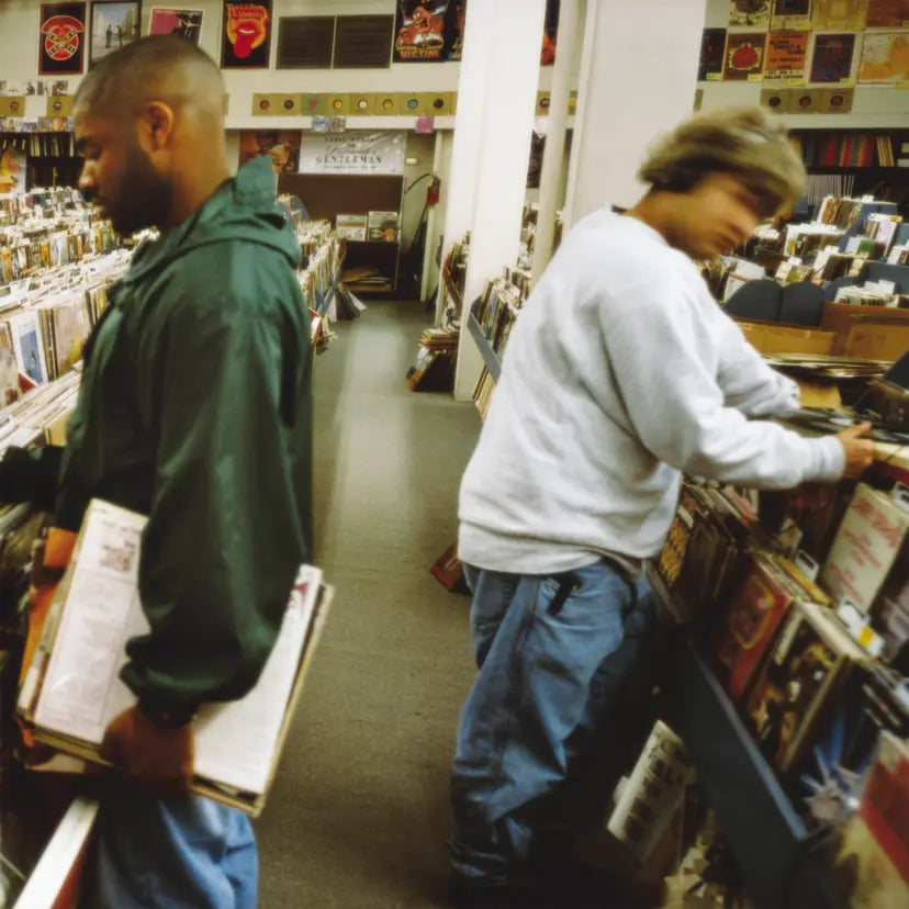 Endtroducing... (30th Anniversary Edition)