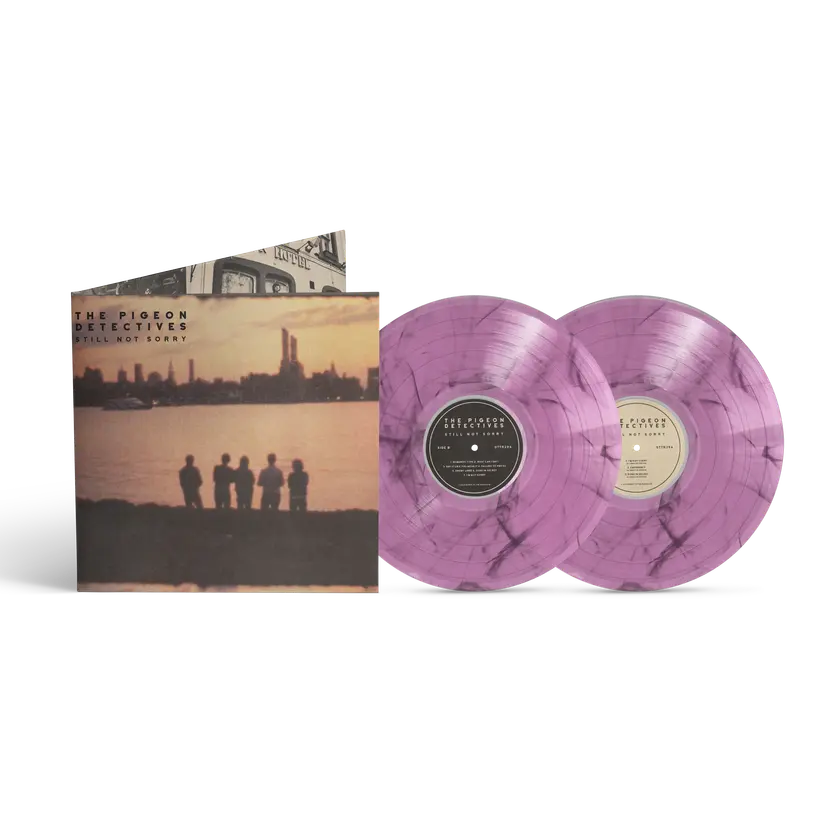 Still Not Sorry - The Best of the Pigeon Detectives