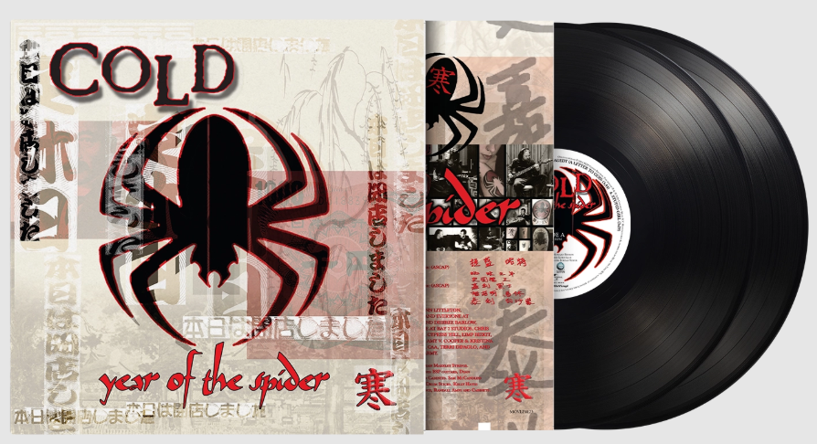 Year Of The Spider