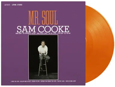 Mr. Soul