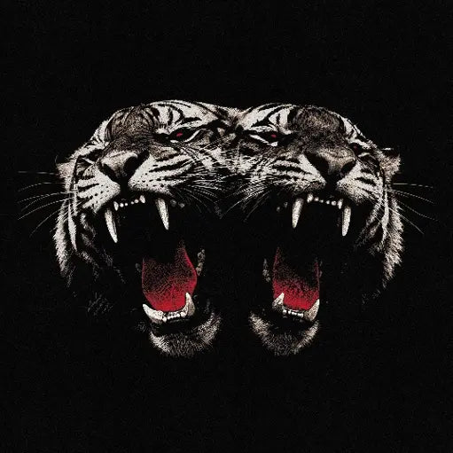 Dead Company