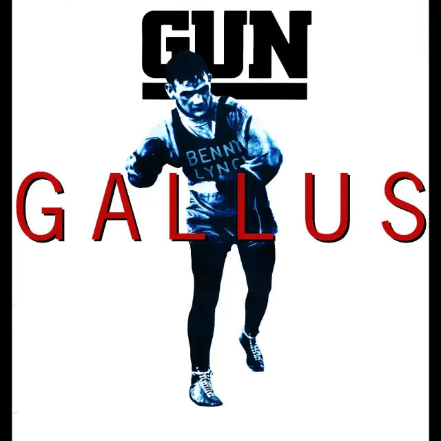 Gallus
