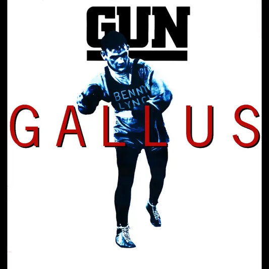 Gallus